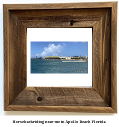 horseback riding near me in Apollo Beach, Florida